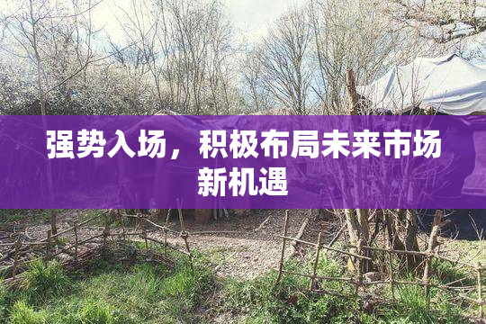 强势入场，积极布局未来市场新机遇