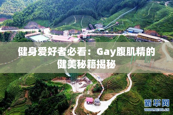健身爱好者必看：Gay腹肌精的健美秘籍揭秘