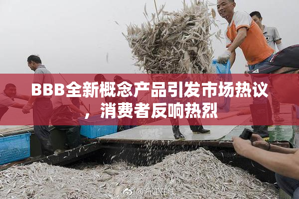 BBB全新概念产品引发市场热议，消费者反响热烈