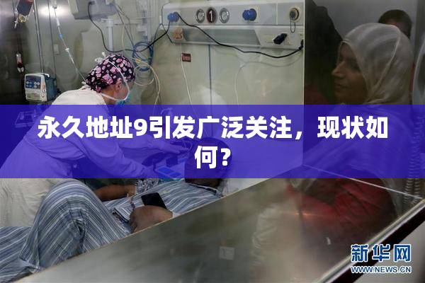 永久地址9引发广泛关注，现状如何？