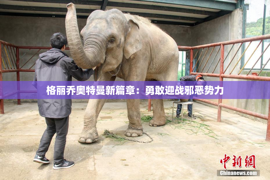 格丽乔奥特曼新篇章：勇敢迎战邪恶势力