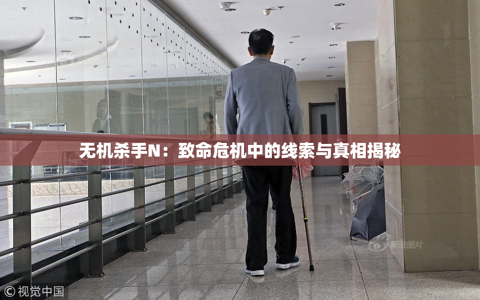 无机杀手N：致命危机中的线索与真相揭秘