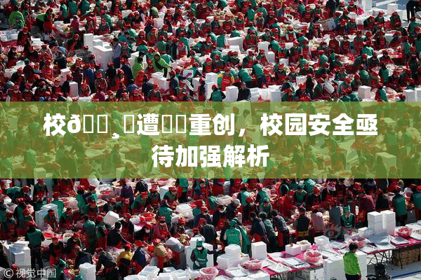 校🌸‌遭❌‌重创，校园安全亟待加强解析