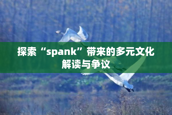探索“spank”带来的多元文化解读与争议