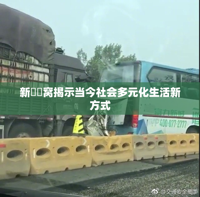 新妺妺窝揭示当今社会多元化生活新方式