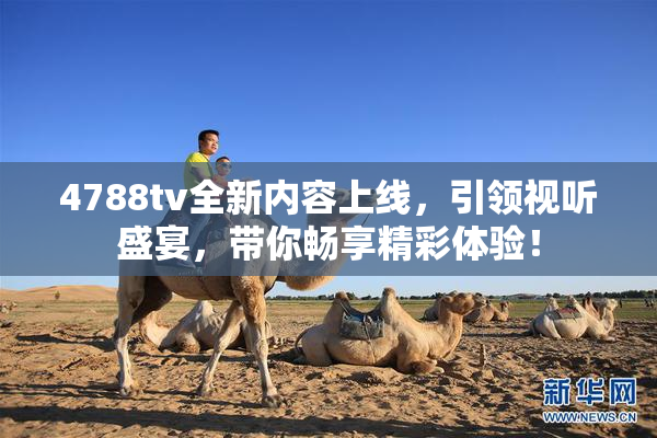 4788tv全新内容上线，引领视听盛宴，带你畅享精彩体验！