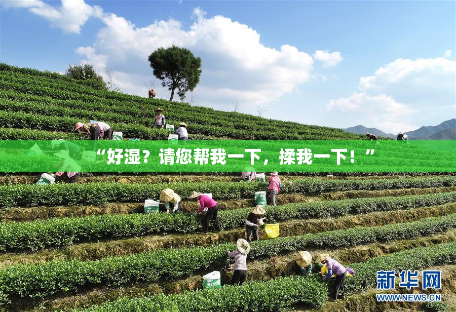 “好湿？请您帮我一下，揉我一下！”