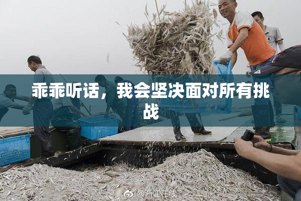 乖乖听话，我会坚决面对所有挑战