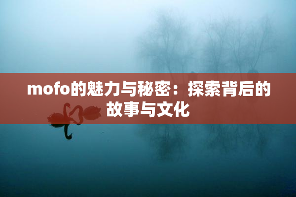mofo的魅力与秘密：探索背后的故事与文化