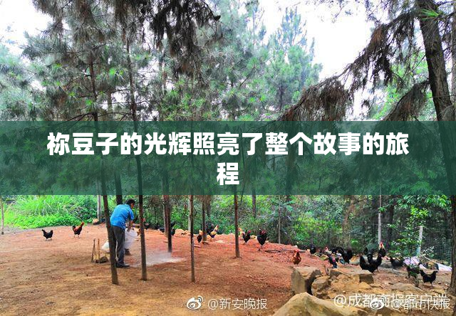 祢豆子的光辉照亮了整个故事的旅程