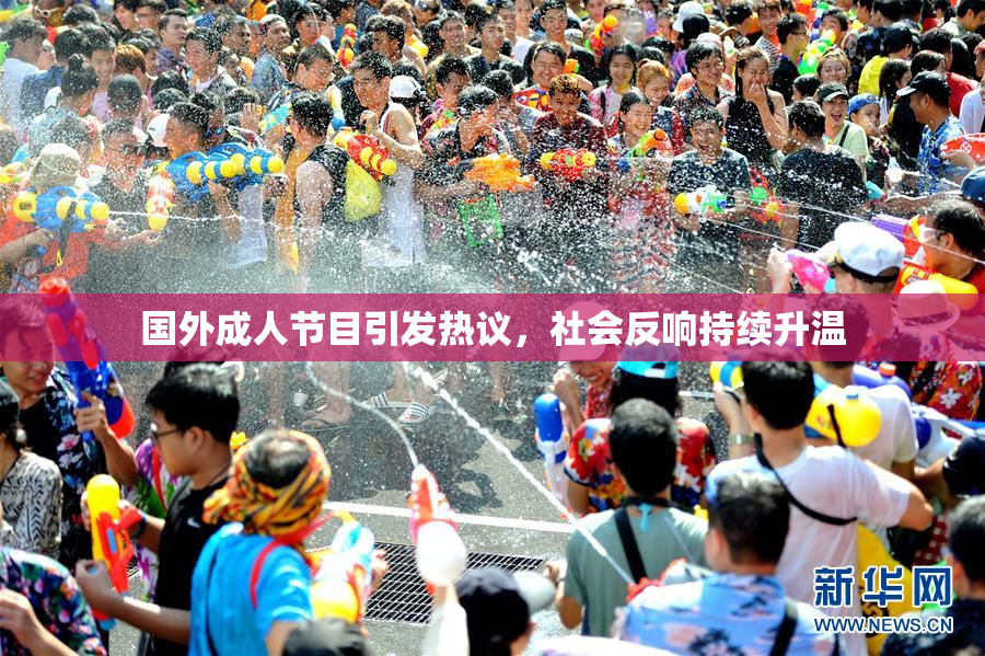 国外成人节目引发热议，社会反响持续升温