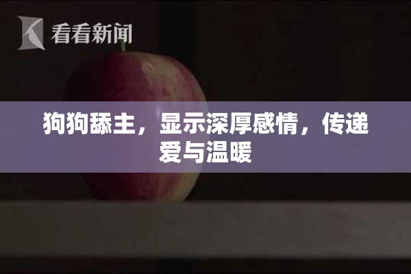 狗狗舔主，显示深厚感情，传递爱与温暖