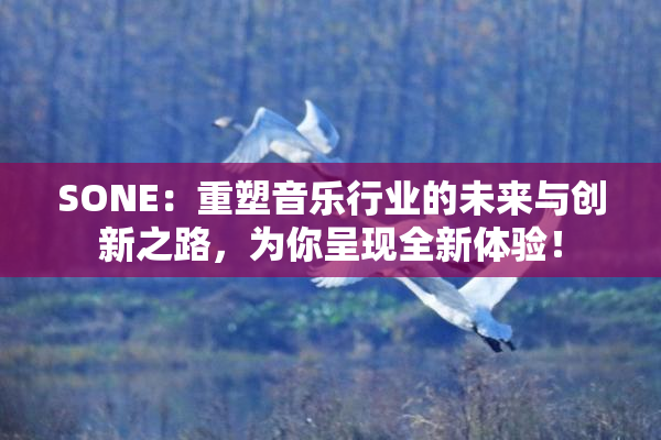 SONE：重塑音乐行业的未来与创新之路，为你呈现全新体验！