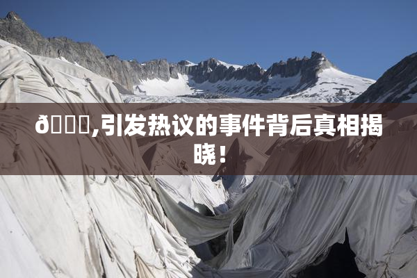 🈚,引发热议的事件背后真相揭晓！