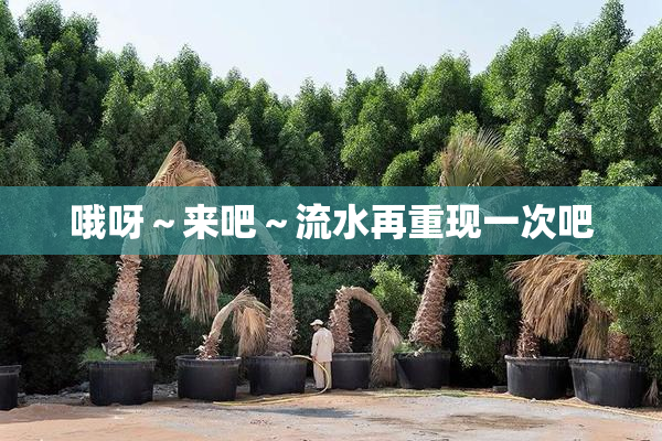 哦呀～来吧～流水再重现一次吧