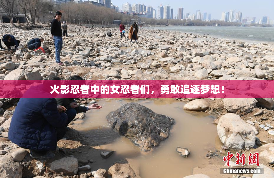 火影忍者中的女忍者们，勇敢追逐梦想！