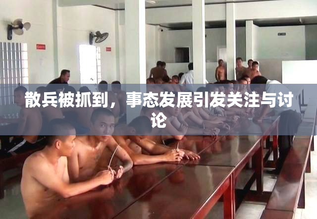 散兵被抓到，事态发展引发关注与讨论