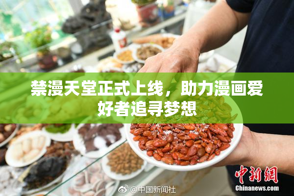 禁漫天堂正式上线，助力漫画爱好者追寻梦想