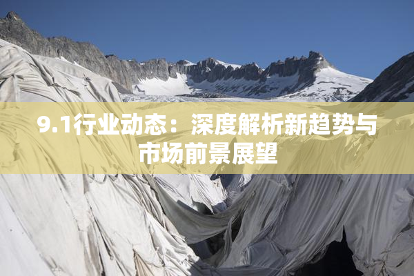9.1行业动态：深度解析新趋势与市场前景展望