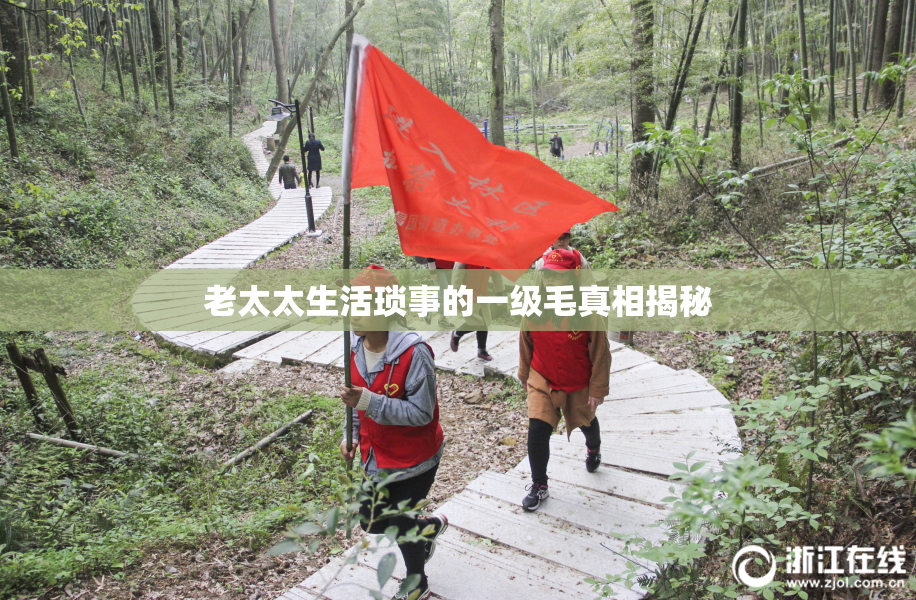 老太太生活琐事的一级毛真相揭秘