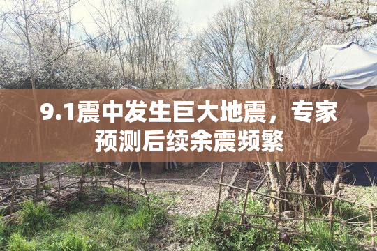 9.1震中发生巨大地震，专家预测后续余震频繁