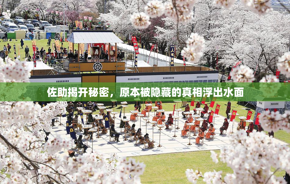 佐助揭开秘密，原本被隐藏的真相浮出水面