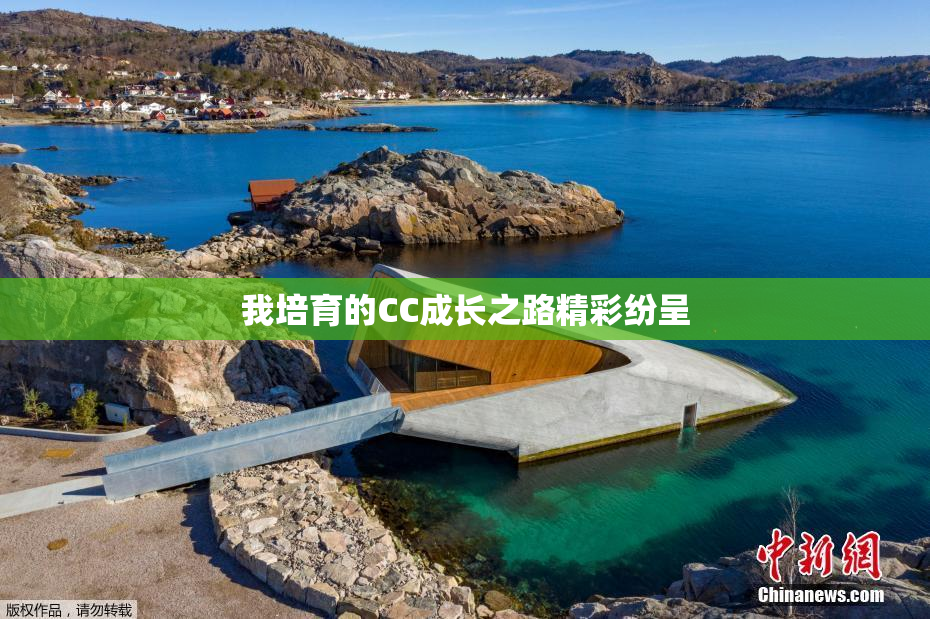 我培育的CC成长之路精彩纷呈