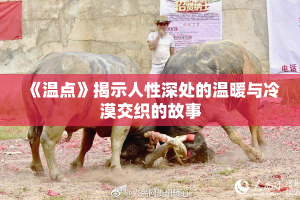 《温点》揭示人性深处的温暖与冷漠交织的故事