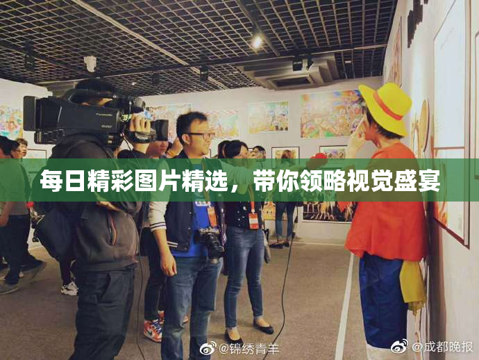 每日精彩图片精选，带你领略视觉盛宴