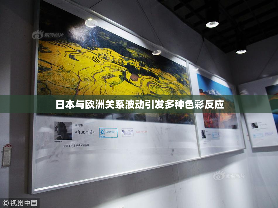 日本与欧洲关系波动引发多种色彩反应