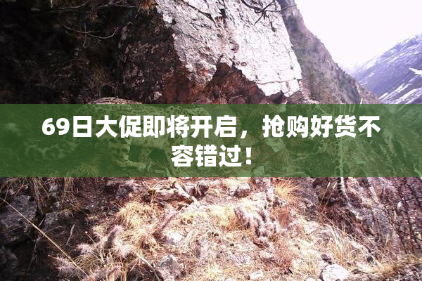 69日大促即将开启，抢购好货不容错过！