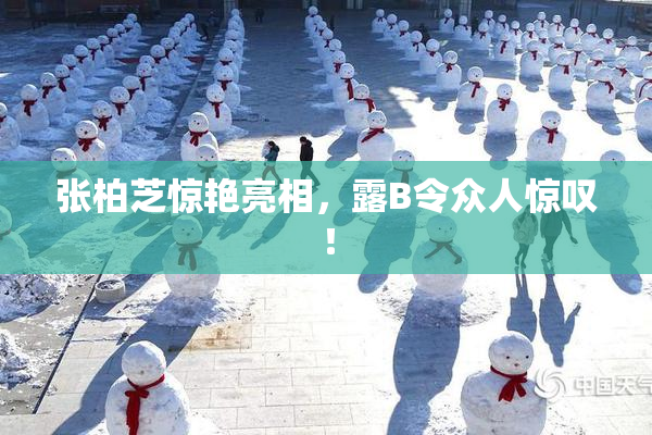 张柏芝惊艳亮相，露B令众人惊叹！