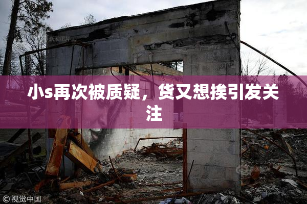 小s再次被质疑，货又想挨引发关注
