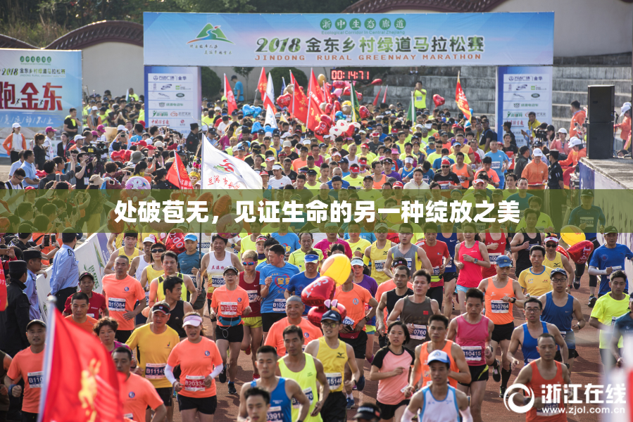 处破苞无，见证生命的另一种绽放之美