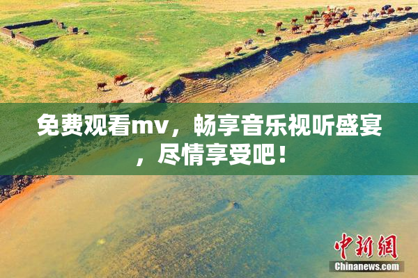 免费观看mv，畅享音乐视听盛宴，尽情享受吧！