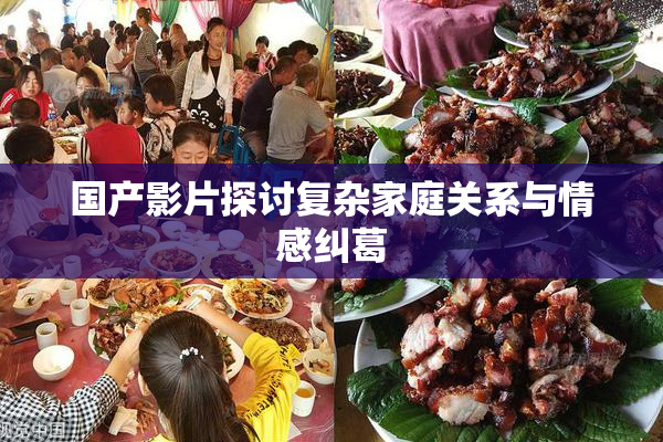 国产影片探讨复杂家庭关系与情感纠葛