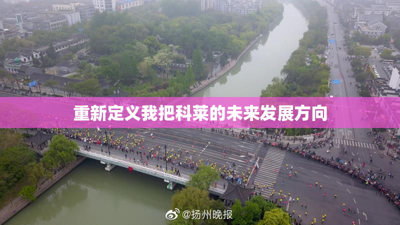重新定义我把科莱的未来发展方向