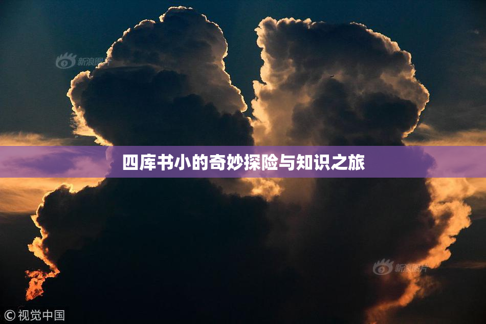 四库书小的奇妙探险与知识之旅