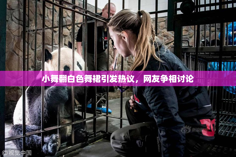 小舞翻白色舞裙引发热议，网友争相讨论