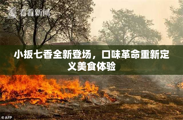 小扳七香全新登场，口味革命重新定义美食体验