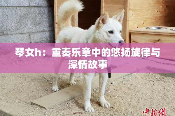 琴女h：重奏乐章中的悠扬旋律与深情故事