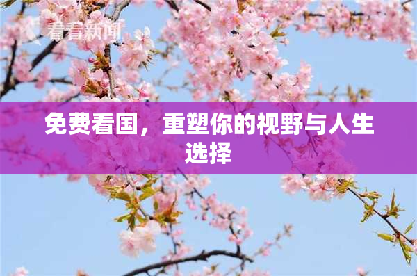免费看国，重塑你的视野与人生选择