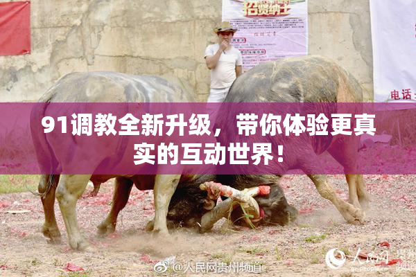 91调教全新升级，带你体验更真实的互动世界！