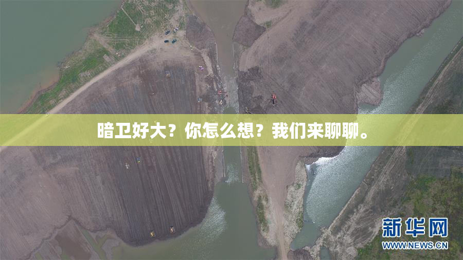 暗卫好大？你怎么想？我们来聊聊。