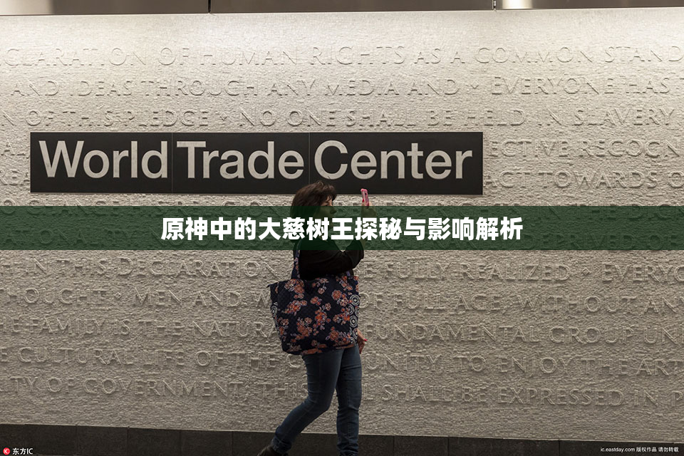 原神中的大慈树王探秘与影响解析