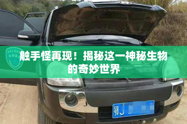 触手怪再现！揭秘这一神秘生物的奇妙世界