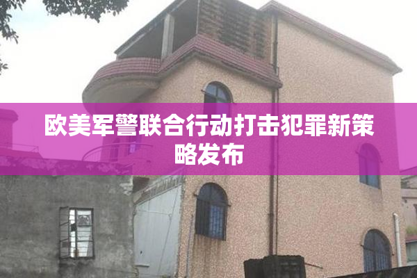 欧美军警联合行动打击犯罪新策略发布
