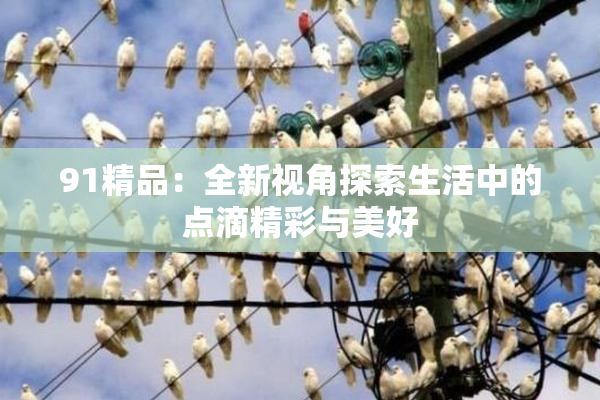 91精品：全新视角探索生活中的点滴精彩与美好