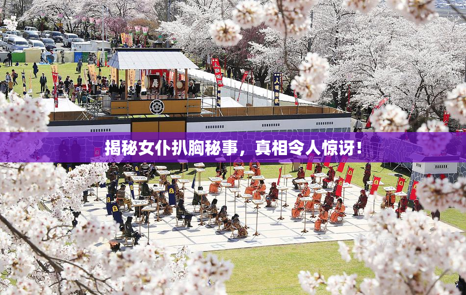 揭秘女仆扒胸秘事，真相令人惊讶！