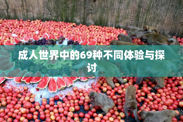 成人世界中的69种不同体验与探讨